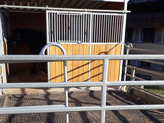 BELMONDO-Flix-Auslauf