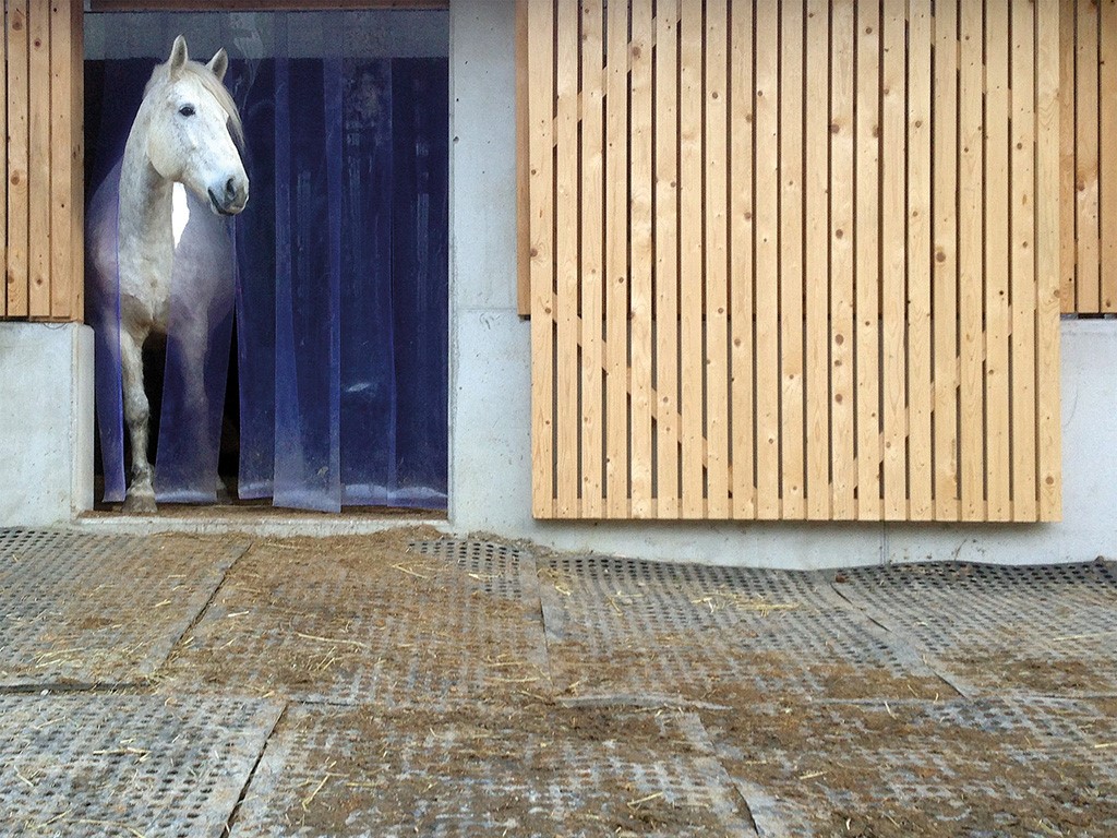 BELMONDO_Flix_Praxis