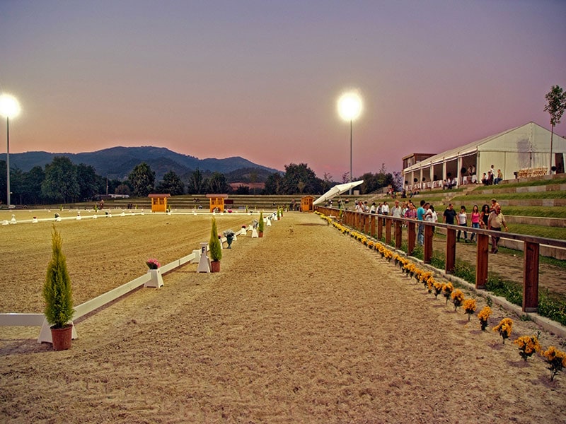 Mobile_Dressurabgrenzung_Heritage_3