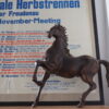 Lebensechtes_Pferd_1