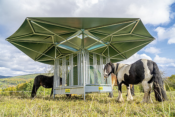 Dach_für_Klima-Raufe_3