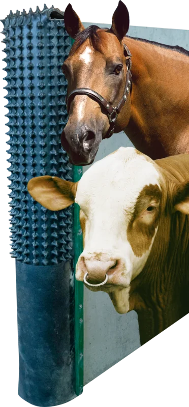 Kratzmatte, inkl. Montageschrauben und Befestigungsleisten